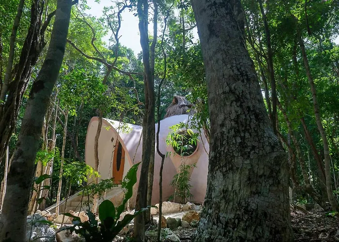 Unique Jungle Dome 2 Queen Beds Lodge Tulum